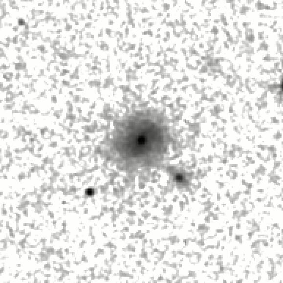IRSA Image