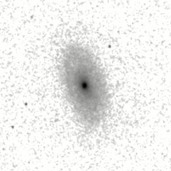 IRSA Image