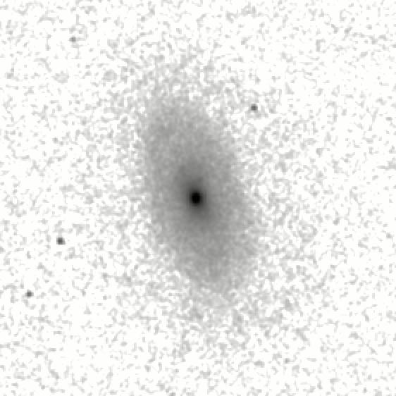 IRSA Image