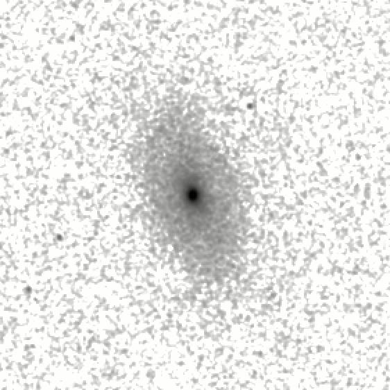 IRSA Image