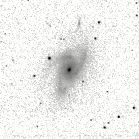 IRSA Image