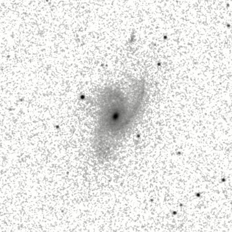 IRSA Image