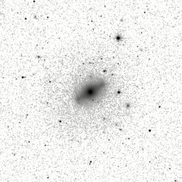 IRSA Image