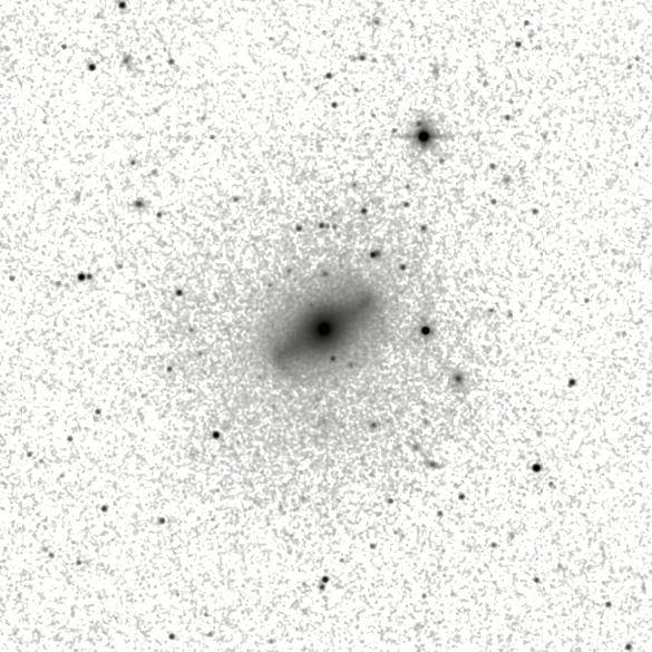 IRSA Image