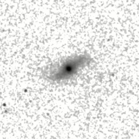 IRSA Image