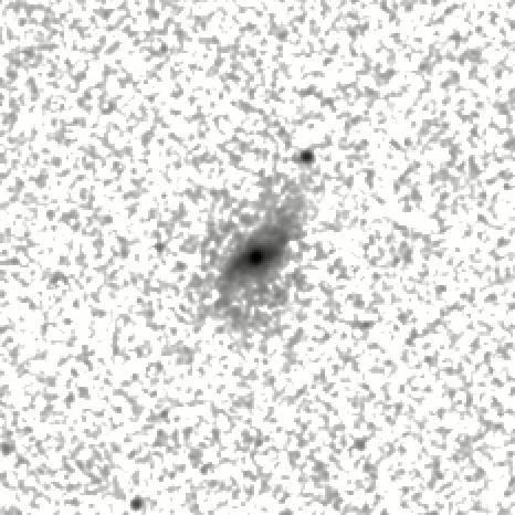 IRSA Image