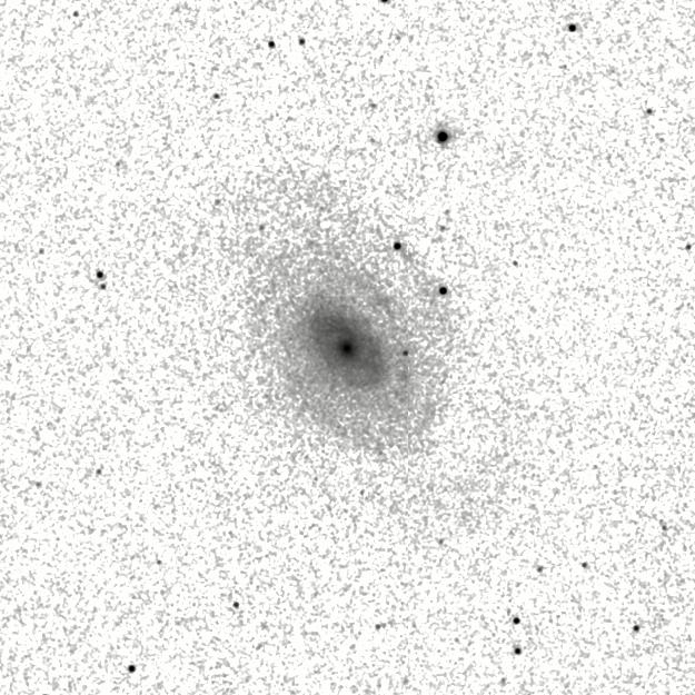 IRSA Image