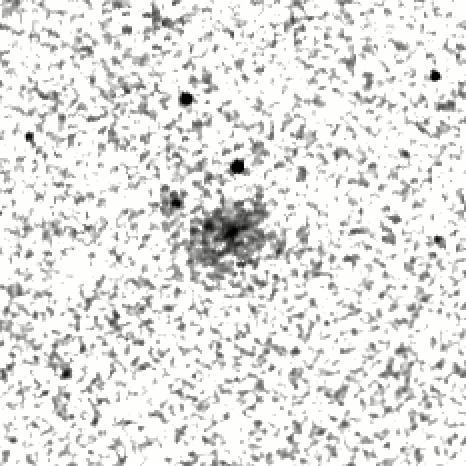 IRSA Image
