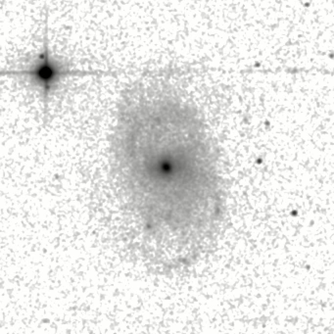 IRSA Image
