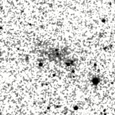 IRSA Image