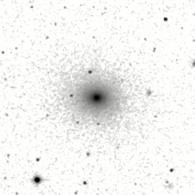IRSA Image