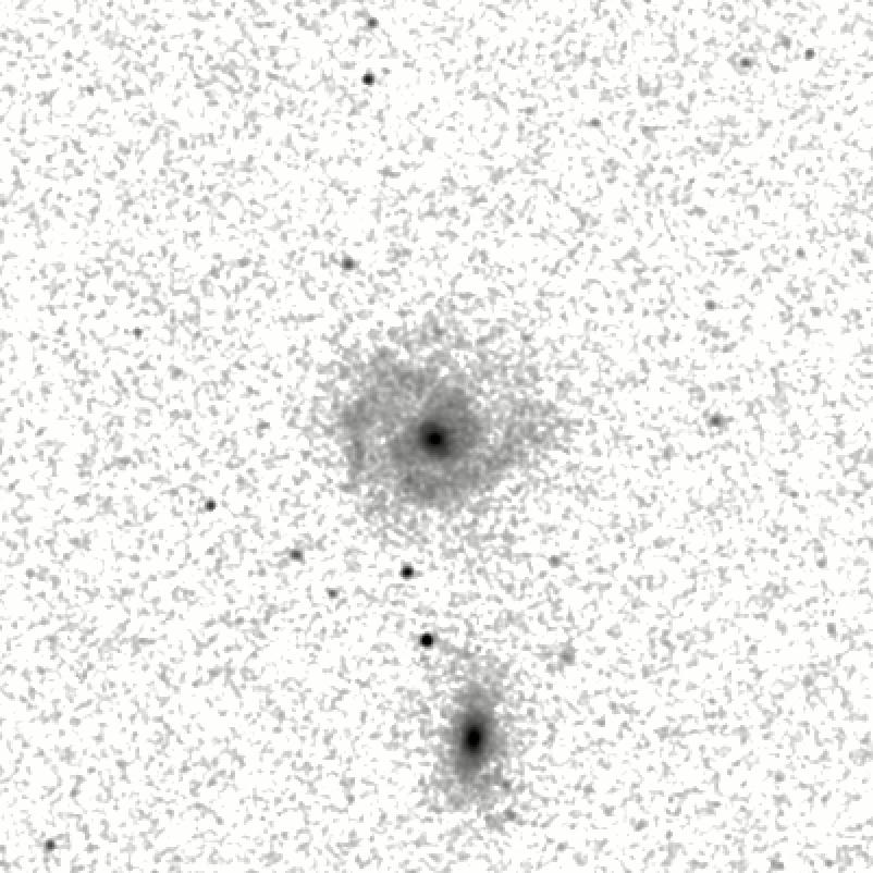 IRSA Image