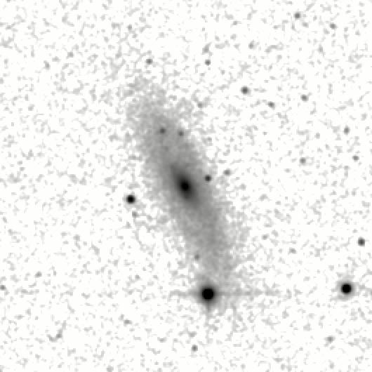 IRSA Image
