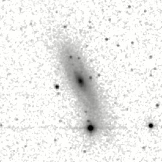 IRSA Image
