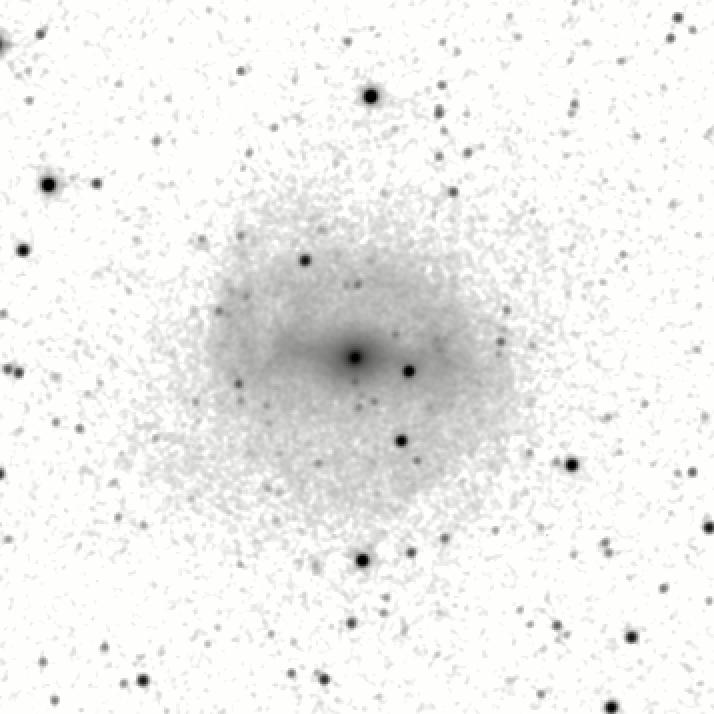 IRSA Image
