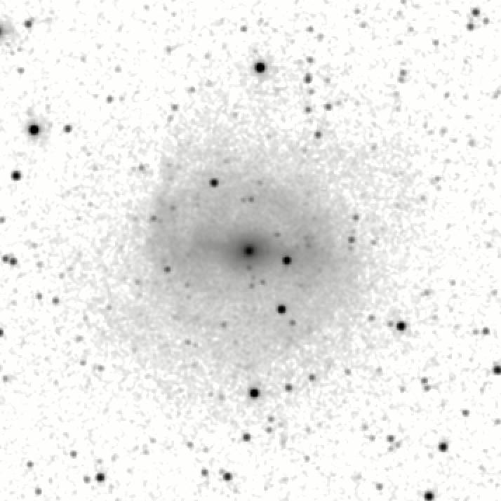 IRSA Image