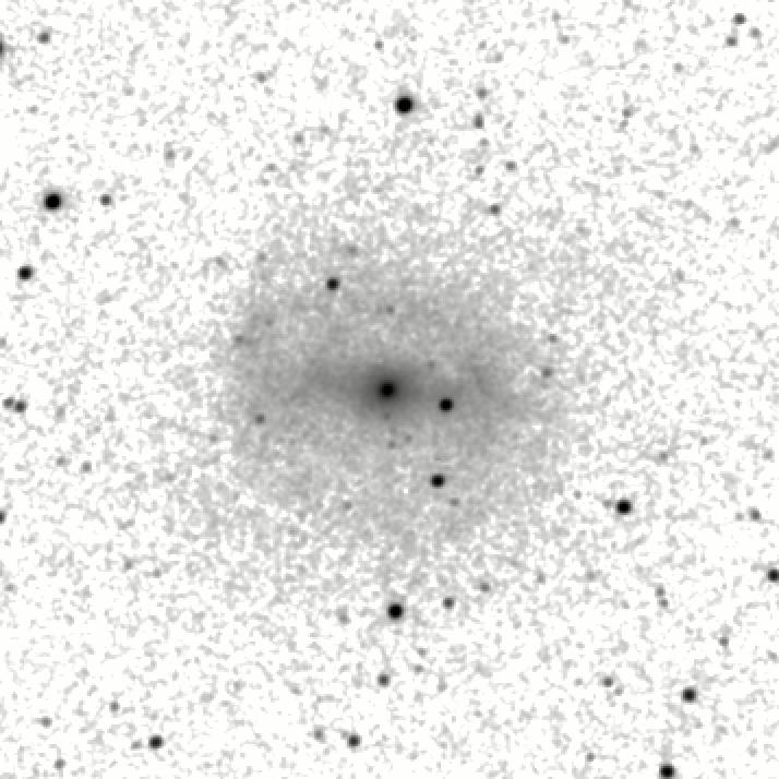 IRSA Image