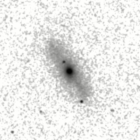 IRSA Image