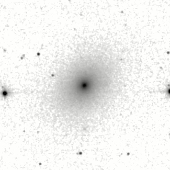 IRSA Image
