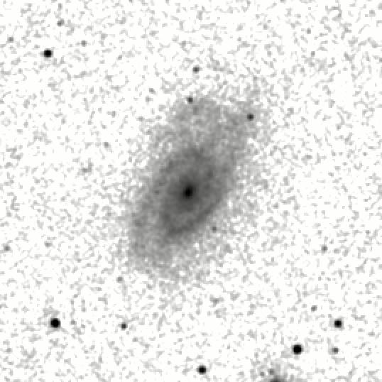 IRSA Image