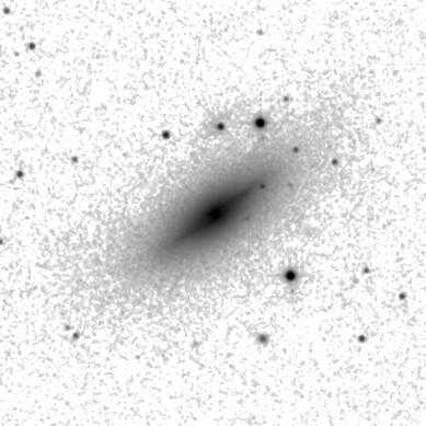 IRSA Image