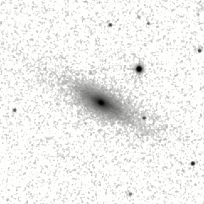 IRSA Image