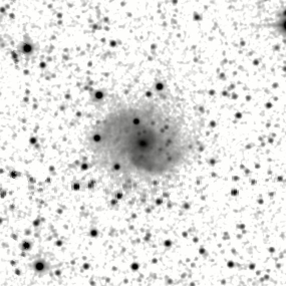 IRSA Image