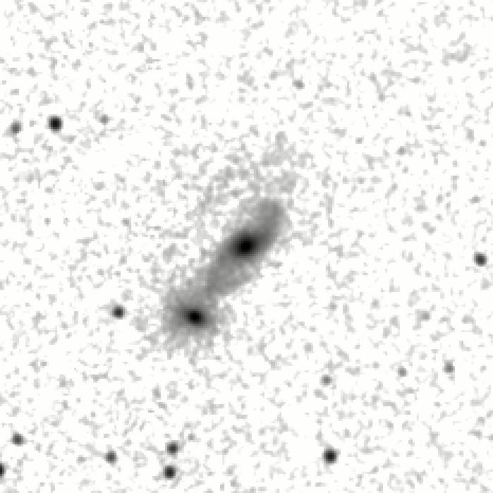 IRSA Image