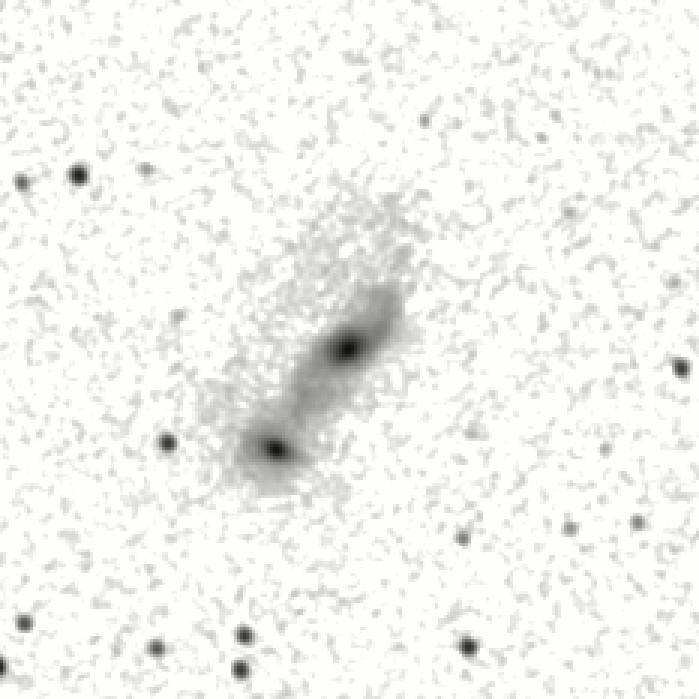 IRSA Image