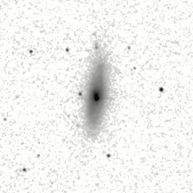 IRSA Image