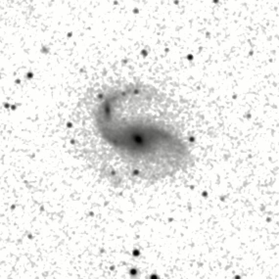 IRSA Image
