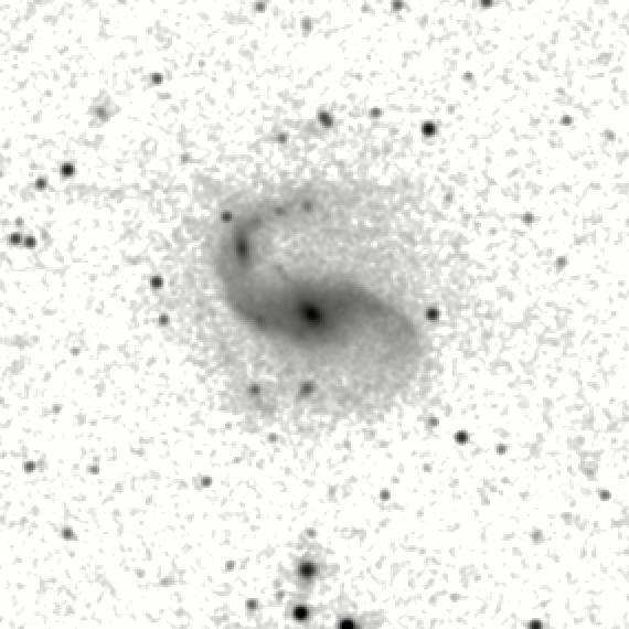 IRSA Image