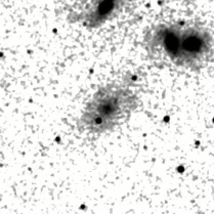 IRSA Image
