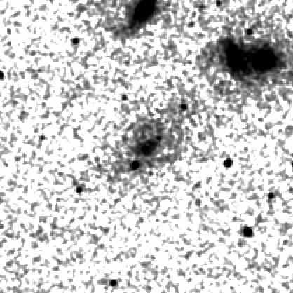 IRSA Image