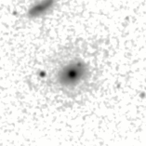 IRSA Image