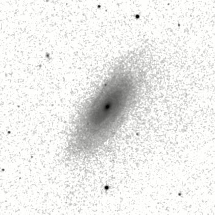 IRSA Image