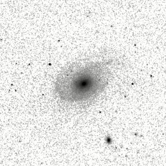 IRSA Image