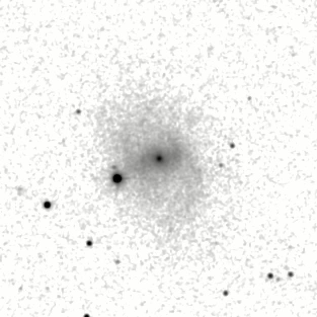 IRSA Image