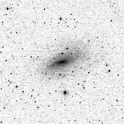 IRSA Image