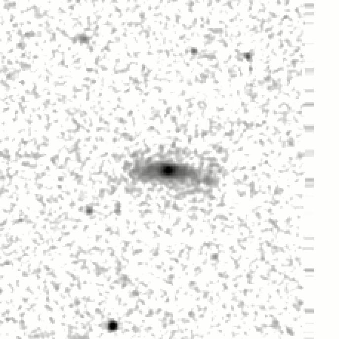 IRSA Image