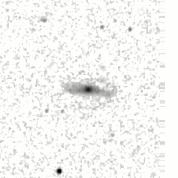 IRSA Image