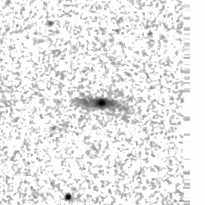 IRSA Image