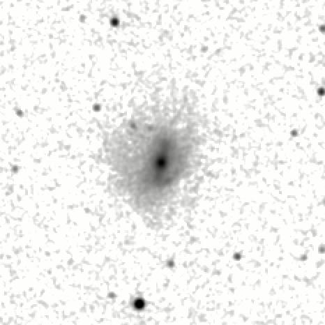 IRSA Image