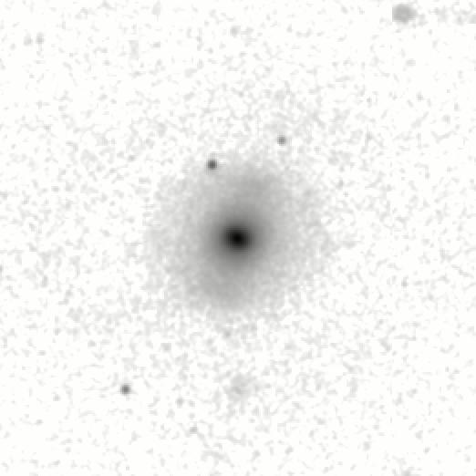 IRSA Image