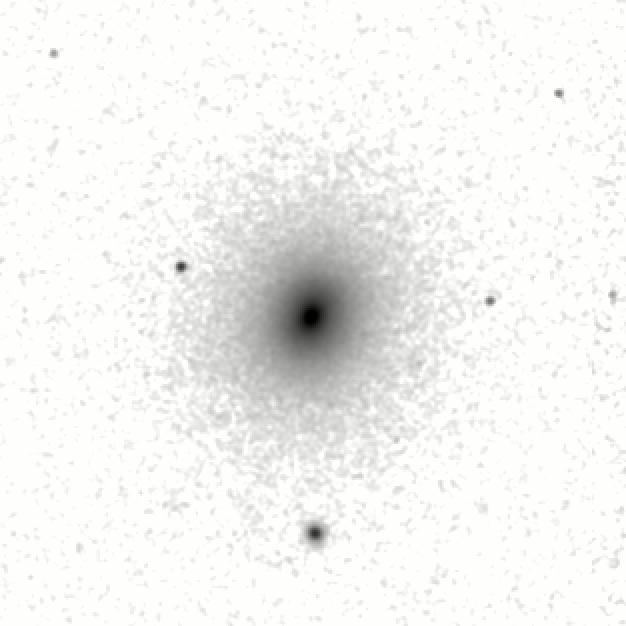 IRSA Image