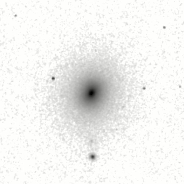 IRSA Image