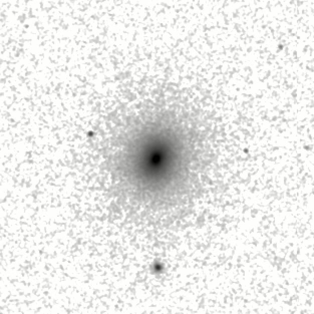 IRSA Image