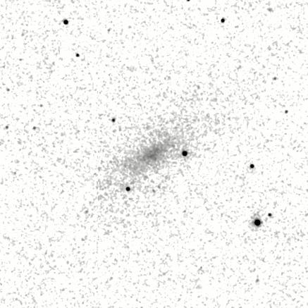 IRSA Image