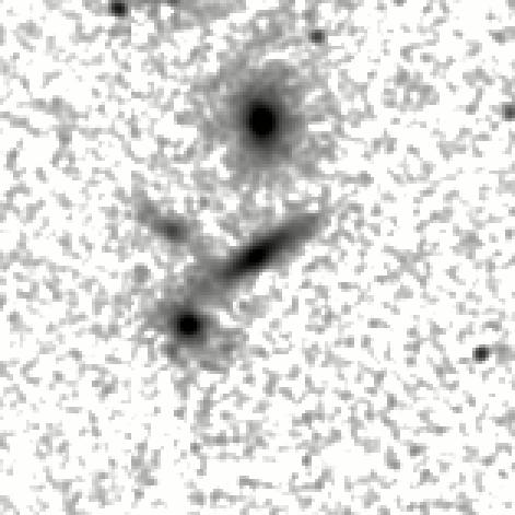 IRSA Image