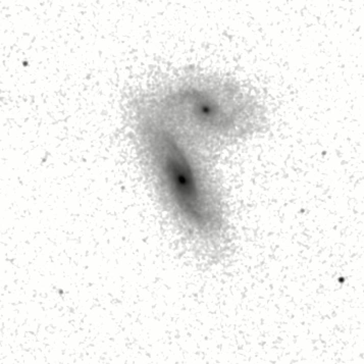 IRSA Image
